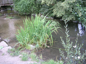 M&uuml;nchen Allach-Untermenzing